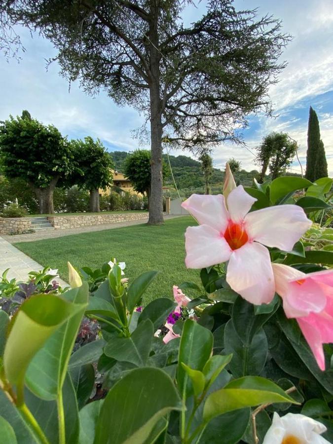 Bed and Breakfast Relais Maria Cristina Chianni Exterior foto